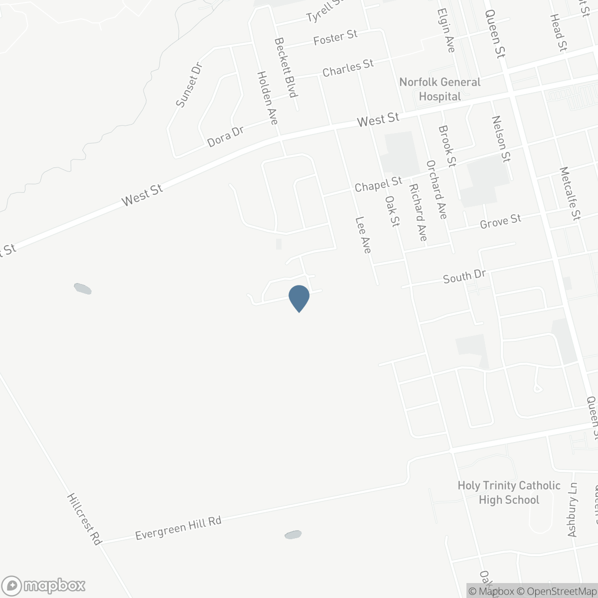37 SERVICEBERRY Lane, Simcoe, Ontario N3Y 0E5